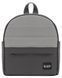 Коляска 2 в 1 Bair Kiwi Plus ECO BKP-21/15 серый / графит 680900 фото 10